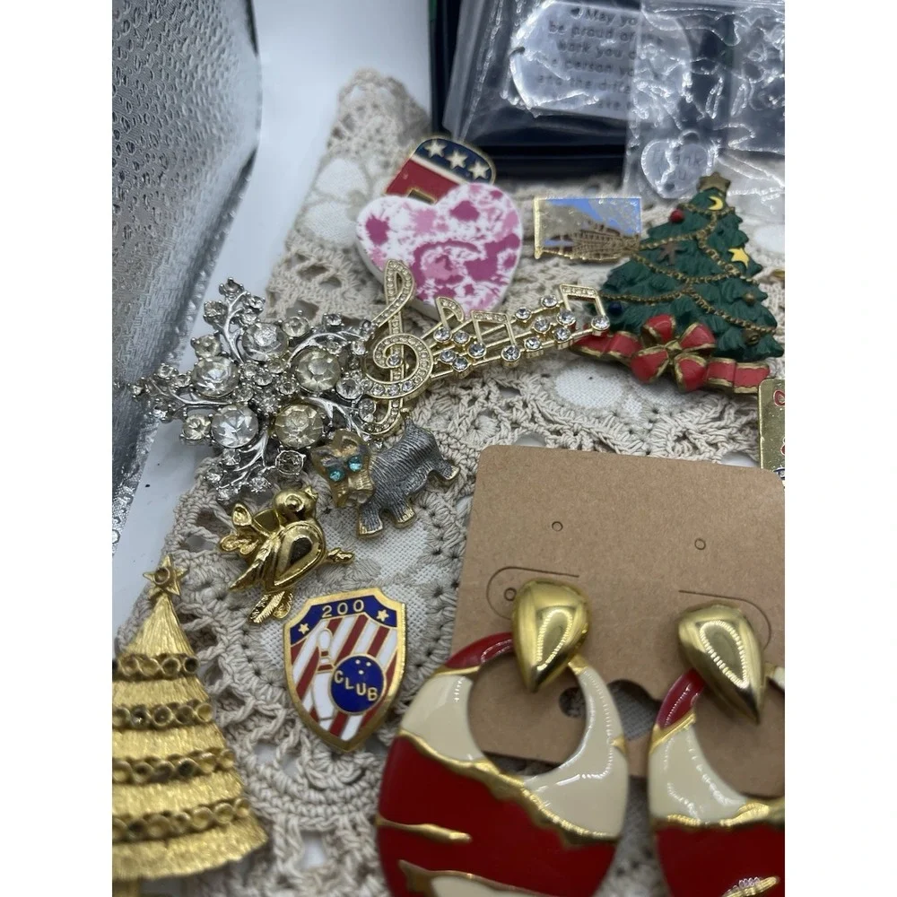 Huge‎ Lot Of Pins, Costume Jewelry , Earrings And One Keychain